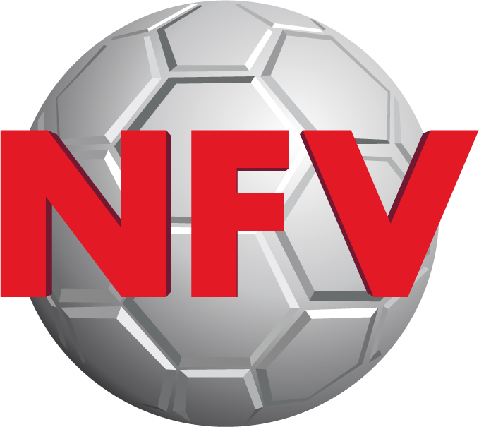 logo nfv